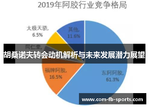 胡桑诺夫转会动机解析与未来发展潜力展望