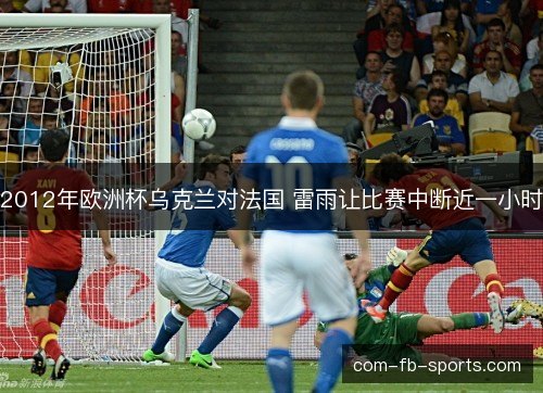 2012年欧洲杯乌克兰对法国 雷雨让比赛中断近一小时